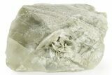 Selenite Crystal - Box Elder County, Utah #369277-1